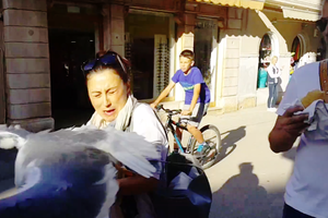 Galeb napao turistkinju u Rovinju: 'Nisam mogla vjerovati' (video)