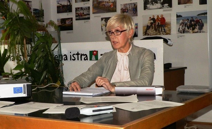 Inge Bajić predstavila je Grupu za reguliranje problema buke