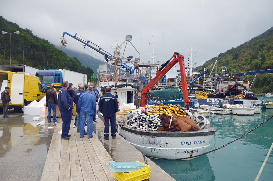 Uvođenje kvota za malu plavu ribu, što predlaže Europska komisija, je neprihvatlivo i štetno za naše ribarstvo, smatra Jakovčić (foto: Robi Selan)