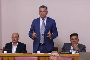 Miletić oštro po Plenkovićevoj vladi zbog odbijanja 34 IDS-ova amandmana