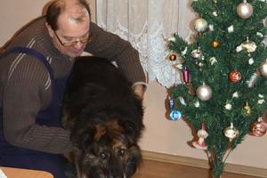Konačno na slobodi: Pas Medo će za Božić jesti janjetinu u Peroju