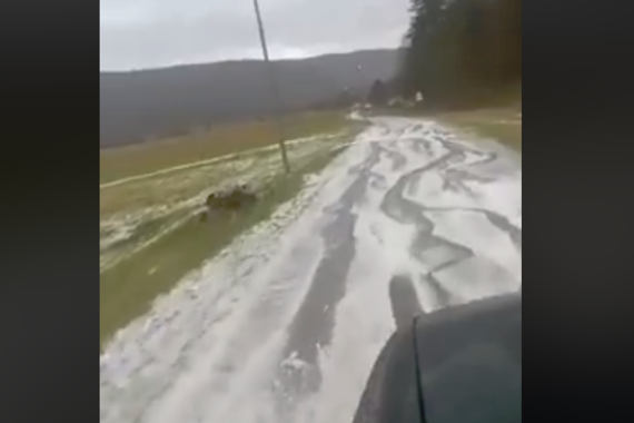 Gusta tuča zasula Ćićariju, pogledajte ledeni pokrov (video)