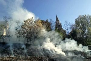 Umaški vatrogasci ugasili šumski požar kod Buja (foto)