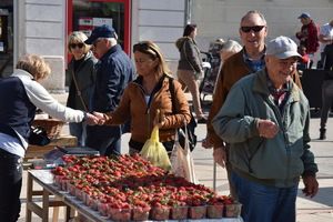 Domaće jagode iz Metkovića stigle na pulsku tržnicu