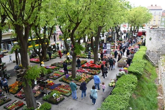 Giardini zamirisali proljetnim sajmom cvijeća Florija