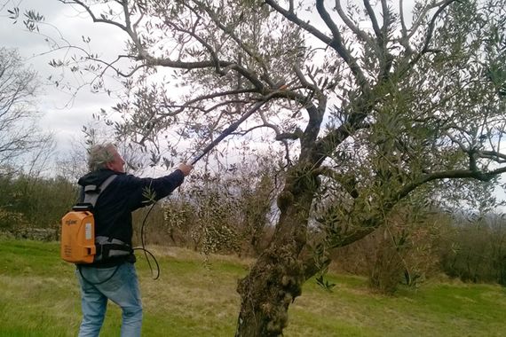 Mjere za poduzetnike i ruralni razvoj otvorile 440 novih radnih mjesta