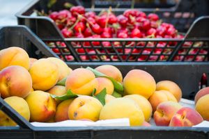 Vraća se Plac od fruti: Dođite po domaće voće u Kaldir
