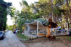 Oluja poharala Poreč: padala stabla, oštećeno groblje i Ljetni kamp