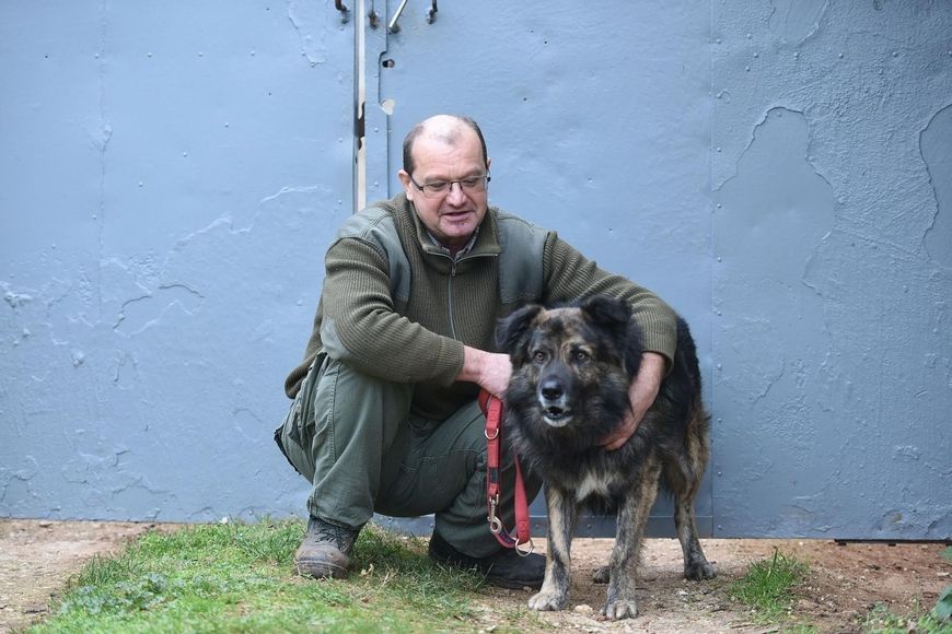 Anton Šimunović, vlasnik psa Mede koji je imao sudsku zabranu zbog lajanja (Foto: Duško Marušić/PIXSELL)