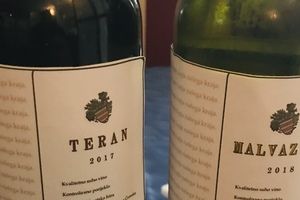 Stigla prva edicija vina Buzet: 511 boca malvazije i 445 terana