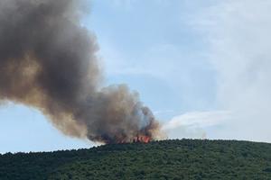 Lokaliziran požar kod Barbana: vatrogascima pomagao kanader 