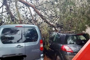 Grana poklopila dva auta u Umagu: 'A bune se da ima premalo zelenila'