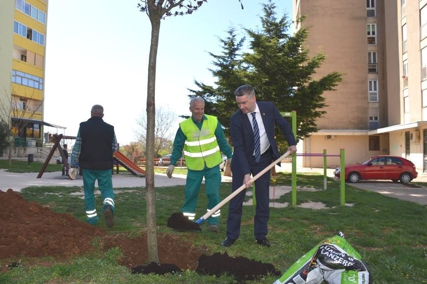 Boris Miletić sudjelovao je svojedobno simbolički u sadnji stabala