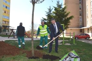 Grad Pula priključuje se inicijativi koja poziva na sadnju stabala