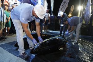 Nakon četiri sata borbe 'Loliti' tuna otpala s udice