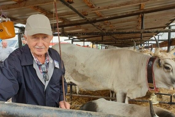 Ima kravu šampionku: 'Doći ću na sajam i prošetati u odijelu'