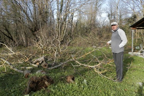 Pijavica poharala imanje Milana Kostadine iz Kršana