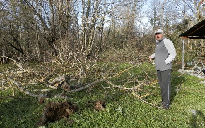 Milan Kostadina nam pokazuje iščupano stablo ispred svoje kuće