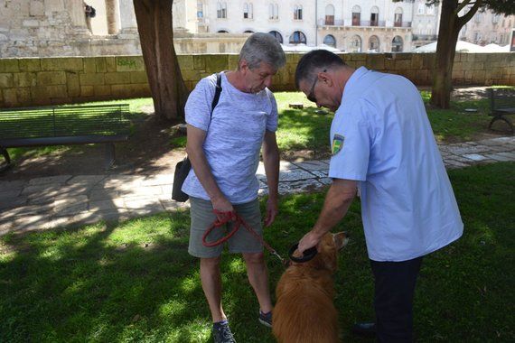 Ako šetate ljubimce po Puli, budite na oprezu: stižu kontrole!