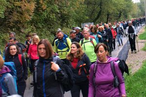 Dan istarskih planinara: od Rakitovca do Bresta pod Žbevnicom