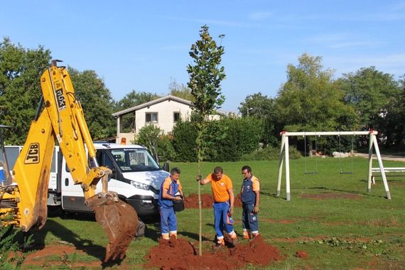 Sutra u Poreču podjela 300 sadnica građanima