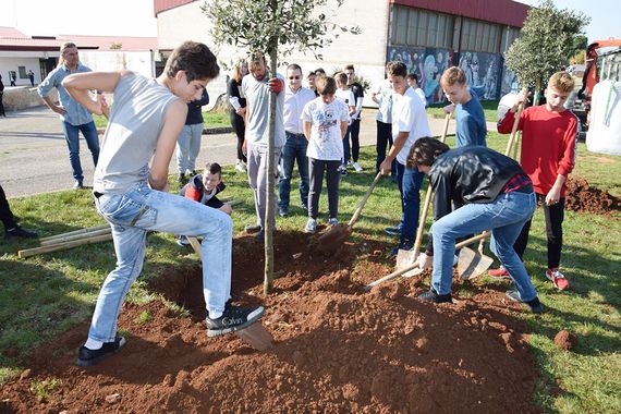 Vodnjan: Posađeno tridesetak stabala