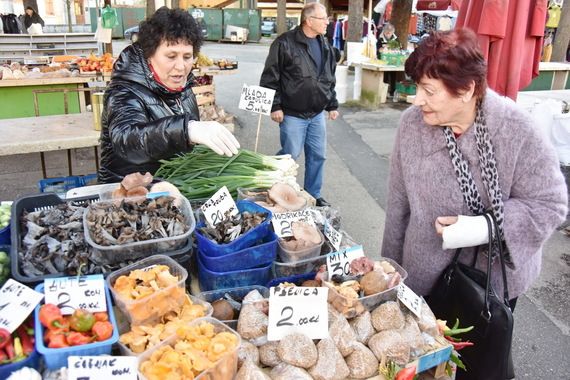 Razne vrste gljiva obogatile pulsku zelenu tržnicu