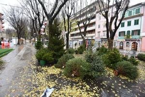 Vjetar u Puli porušio božićna drvca, kiša napunila Pazinsku jamu (video)