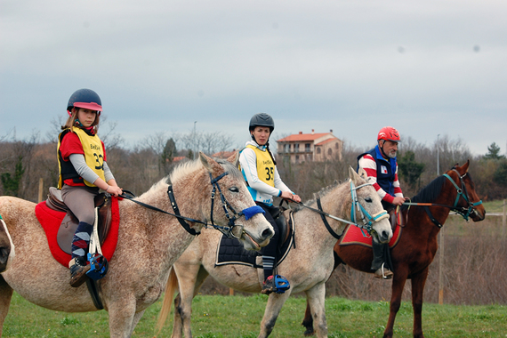 Klub Istra organizirao natjecanje u daljinskom jahanju