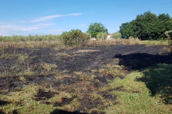 U Istri ugašena tri požara: iskra s brusilice zapalila travu