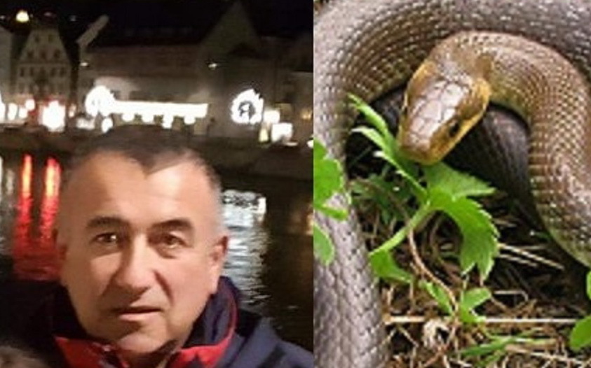 Veterinar Tomislav Čanić neugodno se iznenadio cijenom zmijskog protuotrova (foto: Facebook)