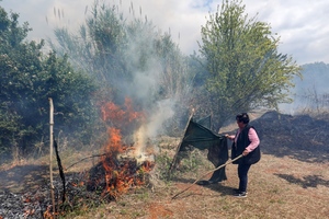 Gorjeli vrtovi iznad uvale Mornar: požar ugasili pulski vatrogasci