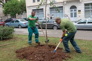 Grad Pula obilježio Svjetski dan zaštite okoliša