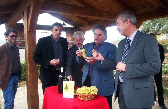 Ivo Mujo, Milan Antolović, Ivan Jakovčić i Gracijano Prekalj degustiraju konavalsko grožđe