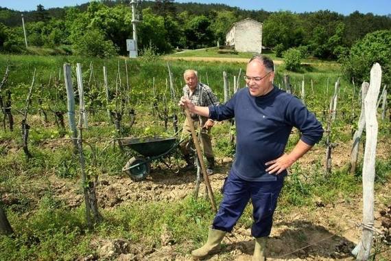 Damir Kajin o izborima, Miletiću, Feriću, Jakovčiću i Cuccurinu