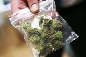 Rovinj: 20-godišnjak iz BiH prodavao marihuanu u Rovinjskom Selu