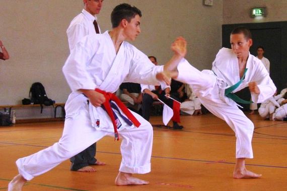 Pulski Lavovi na karate turniru 15. Delta kup u Rijeci