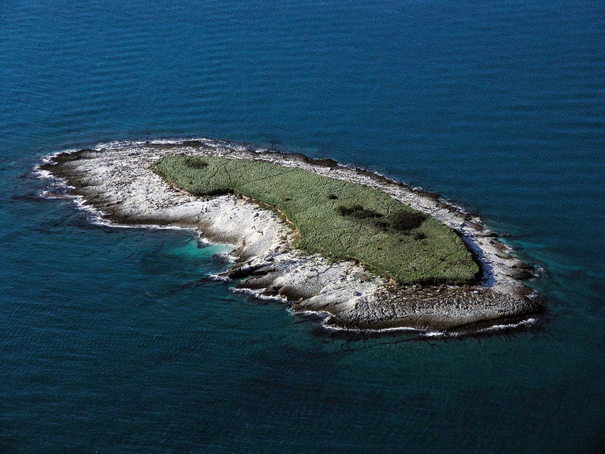 Otok Fenoliga 