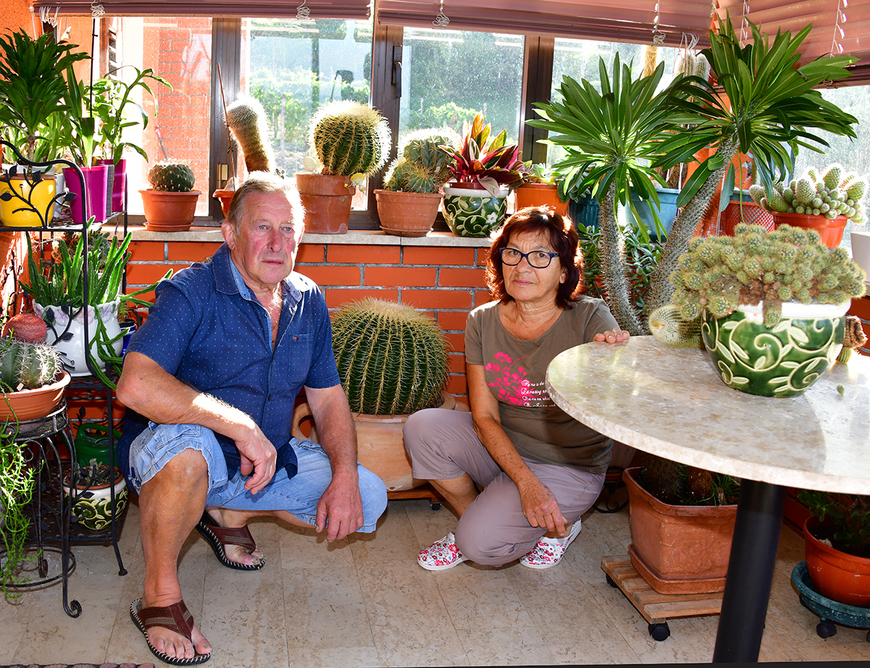 Aldo i Zlatka Jurasić među svojim kaktusima i sukulentima