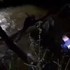 Policija spasila ženu iz rijeke kod Buja, dijete nestalo (video)