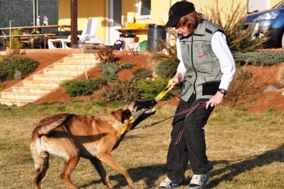 Erik (11) iz Pule najmlađi je 'šaptač psima' u Hrvatskoj