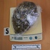 Policija zaustavila mladića: u ruksaku skrivao 783 grama marihuane