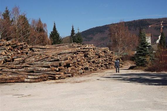 Muškarac krao drva za ogrjev