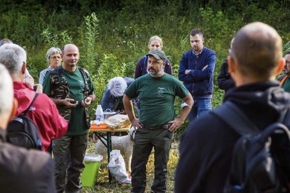 Sibirski samojed slučajno našao tartufe na buzetskom šetalištu