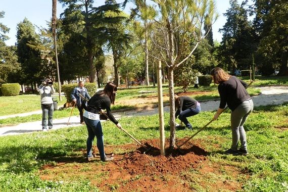 Povodom 150. rođendana Mornarički park dobio nove borove i cvijeće