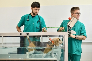 Najveći europski veterinarski stručnjaci okupljaju se u Puli