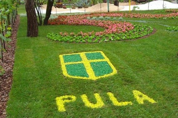 U Flaciusovoj ulici posadit će se ladonje