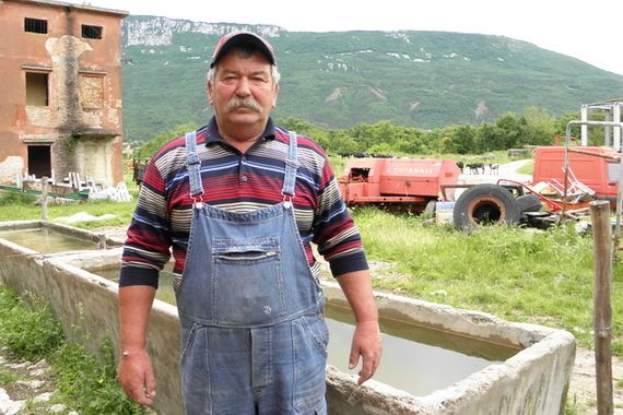 Farmer iz Kožljaka poklanja junca ako IDS-ovac pobijedi na izborima