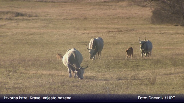 Foto: Dnevnik / HRT