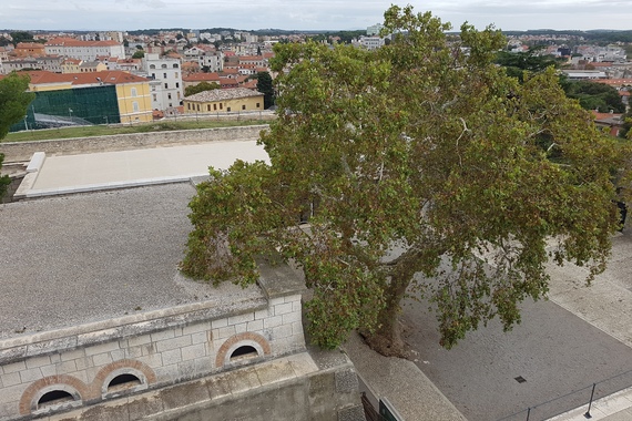 Obnovljen uspon u atriju Povijesnog muzeja (foto)